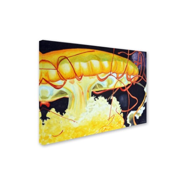 Jennifer Redstreake 'Chattanooga Jelly Fish' Canvas Art,35x47